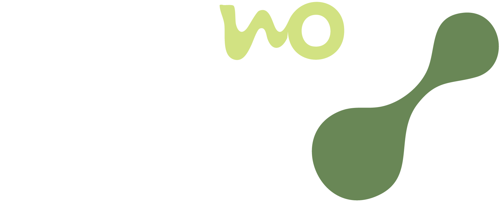 Scanwow Logo